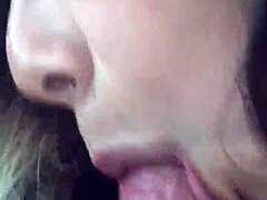Amaterska MILF daje čuten oralni seks svojim prijateljem z velikim kurcem