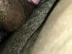 Аматьорска зряла пума се чука от голям кур