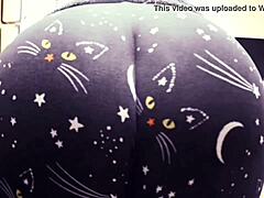 Kedi pantolonlu büyük kıçlı anneler seksi kıvrımlarını gösteriyorlar