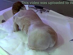 En moden kone blir slikket og knullet i dusjen av mannen sin