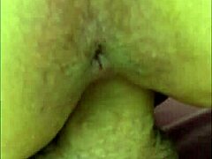 Ibu gemuk yang cantik mendapatkan lubangnya yang matang diisi dengan seks anal